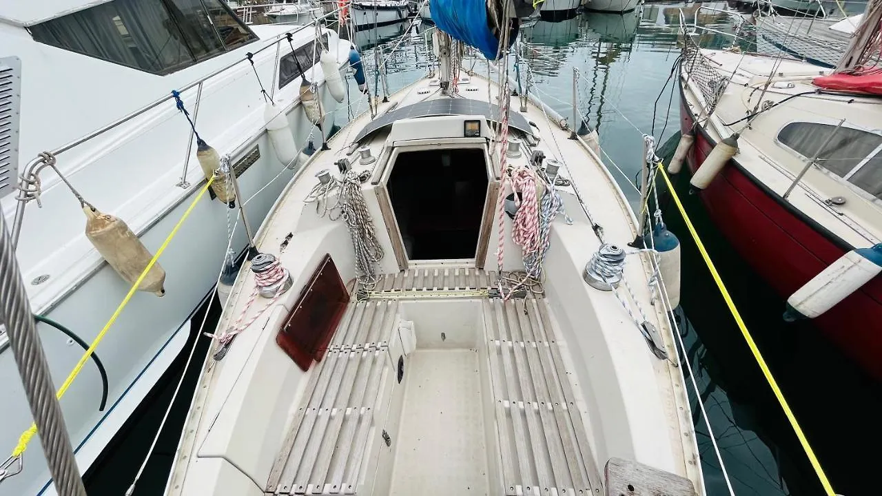 船上ホテル ホテル Cozy Sailing Boat Barcelona サン・アドリア・デ・ベソス スペイン